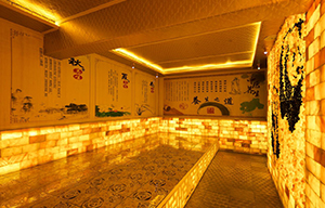 大门外观 Main Door