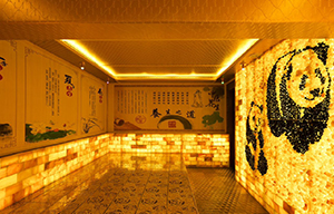 大门外观 Main Door